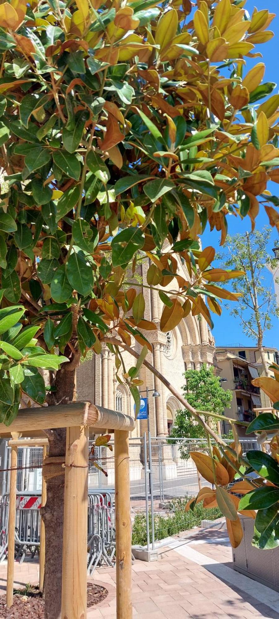 Appartement Arthome Pescara